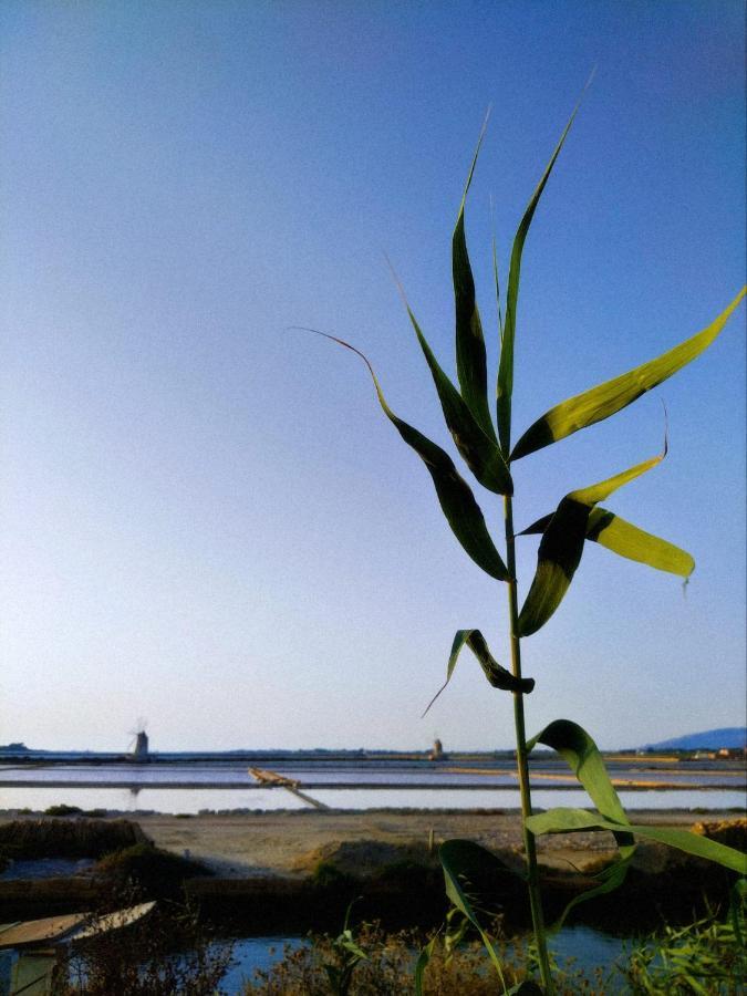 Appartamento Casa Al Vicolo 99 Birgi Vecchi Esterno foto